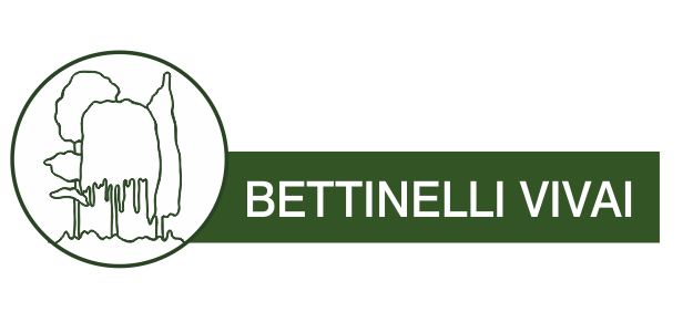 Bettinelli Vivai