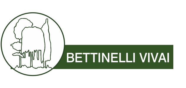 Bettinelli Vivai